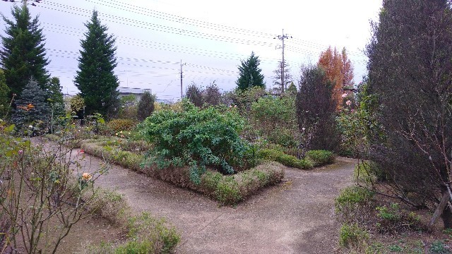 f:id:bluemoonbell:20210301121719j:image