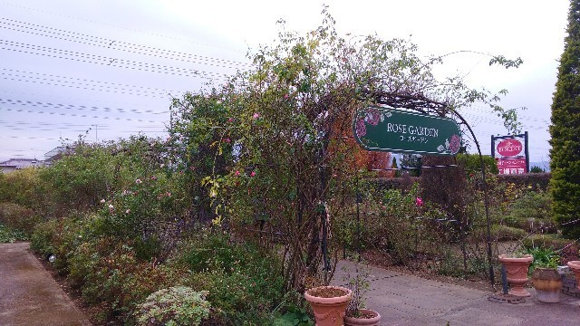 f:id:bluemoonbell:20210301121740j:image