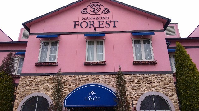 f:id:bluemoonbell:20210301121833j:image