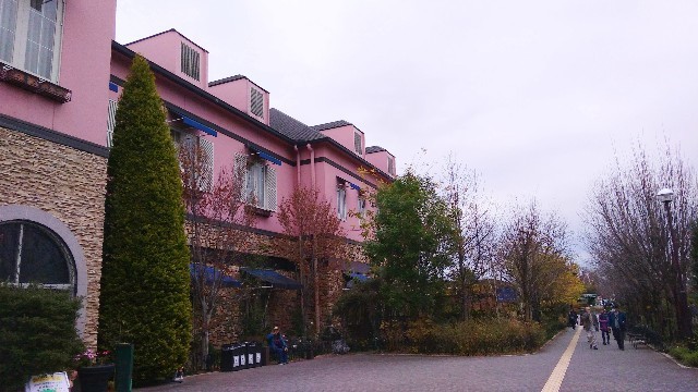 f:id:bluemoonbell:20210301121849j:image