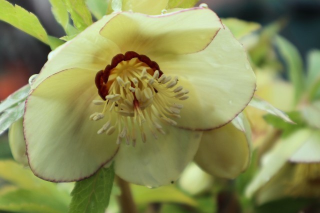 f:id:bluemoonbell:20210330183546j:image f:id:bluemoonbell:20210330183546j:image