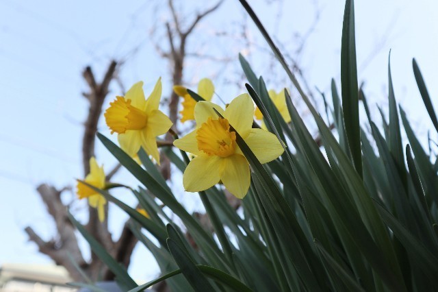 f:id:bluemoonbell:20210331184905j:image f:id:bluemoonbell:20210331184905j:image