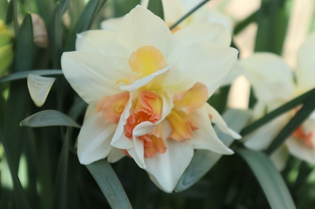 f:id:bluemoonbell:20210331185006j:image f:id:bluemoonbell:20210331185006j:image