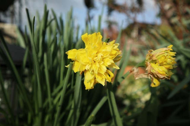 f:id:bluemoonbell:20210331185129j:image f:id:bluemoonbell:20210331185129j:image