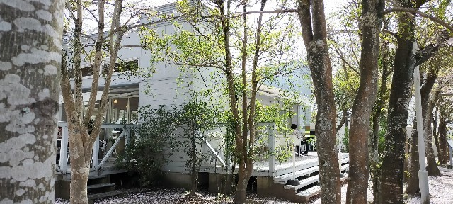 f:id:bluemoonbell:20210408093055j:image