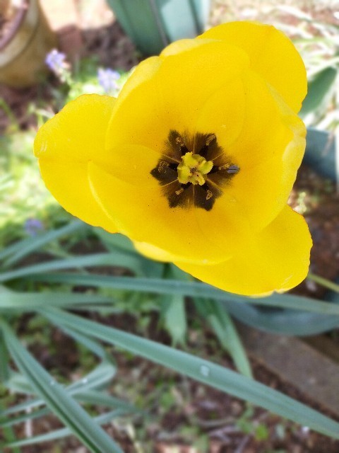 f:id:bluemoonbell:20210408132447j:image