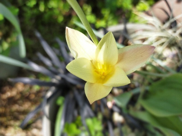 f:id:bluemoonbell:20210408132518j:image