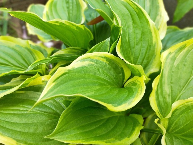 f:id:bluemoonbell:20210419134100j:image f:id:bluemoonbell:20210419134100j:image