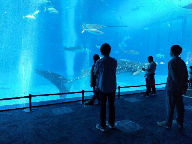 f:id:bluemoonbell:20210527093622j:image f:id:bluemoonbell:20210527093622j:image