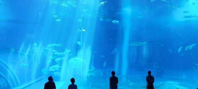 f:id:bluemoonbell:20210527093703j:image f:id:bluemoonbell:20210527093703j:image