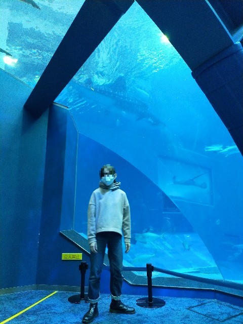 f:id:bluemoonbell:20210527093840j:image f:id:bluemoonbell:20210527093840j:image