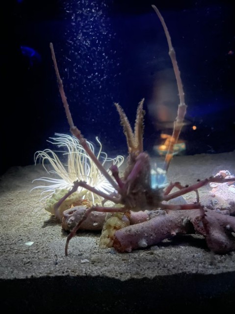 f:id:bluemoonbell:20210527094600j:image f:id:bluemoonbell:20210527094600j:image