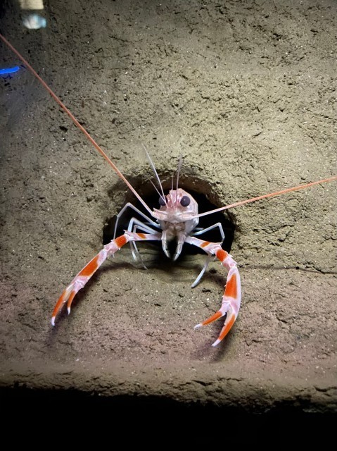 f:id:bluemoonbell:20210527094614j:image f:id:bluemoonbell:20210527094614j:image