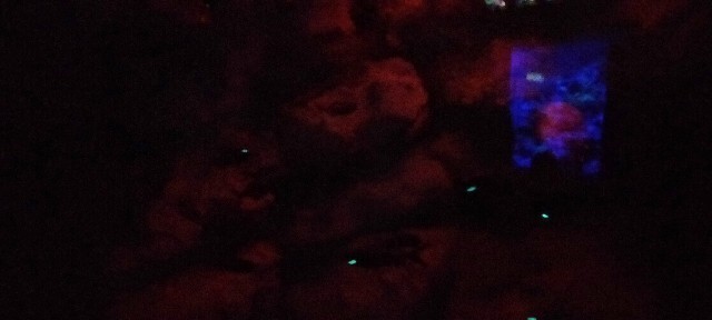 f:id:bluemoonbell:20210527094640j:image f:id:bluemoonbell:20210527094640j:image