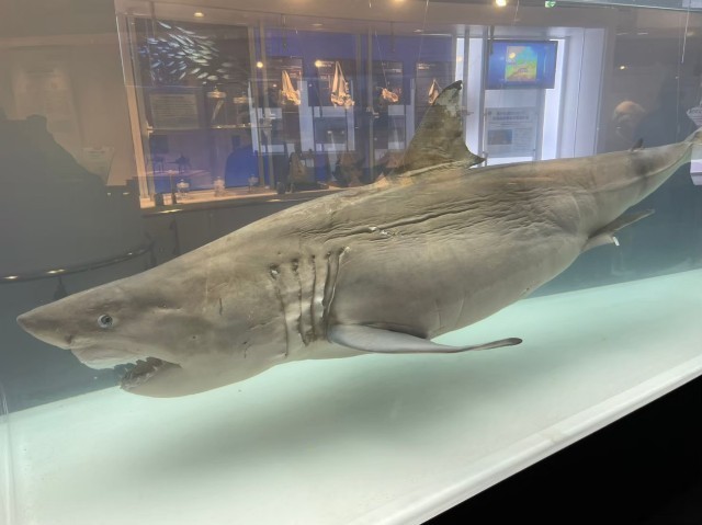 f:id:bluemoonbell:20210527095018j:image f:id:bluemoonbell:20210527095018j:image