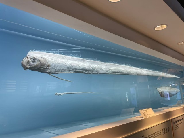 f:id:bluemoonbell:20210527095027j:image f:id:bluemoonbell:20210527095027j:image