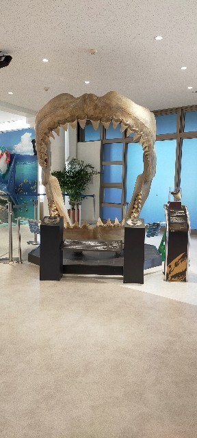 f:id:bluemoonbell:20210527095054j:image f:id:bluemoonbell:20210527095054j:image