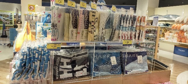 f:id:bluemoonbell:20210527095137j:image f:id:bluemoonbell:20210527095137j:image