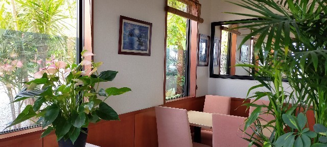 f:id:bluemoonbell:20210531122415j:image