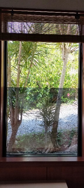 f:id:bluemoonbell:20210531122429j:image