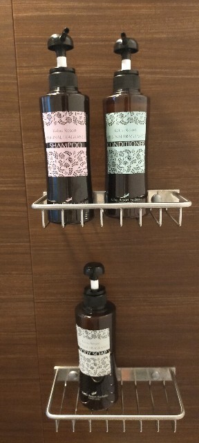 f:id:bluemoonbell:20210531211502j:image