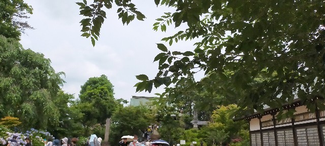 f:id:bluemoonbell:20210614144711j:image