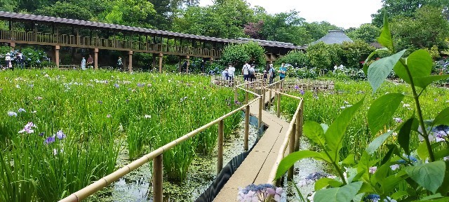 f:id:bluemoonbell:20210614145607j:image