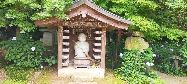 f:id:bluemoonbell:20210614145716j:image