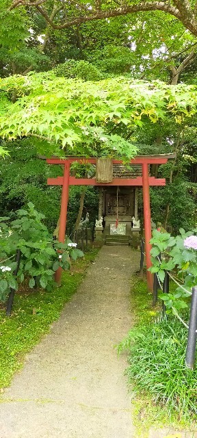 f:id:bluemoonbell:20210614145726j:image