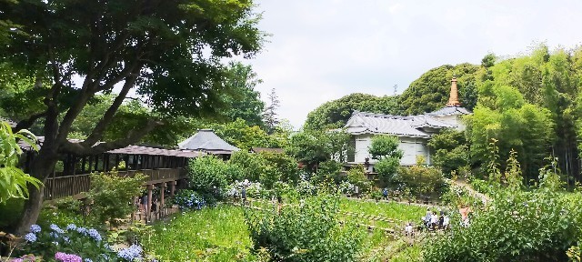 f:id:bluemoonbell:20210614145736j:image