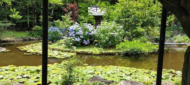 f:id:bluemoonbell:20210614150123j:image