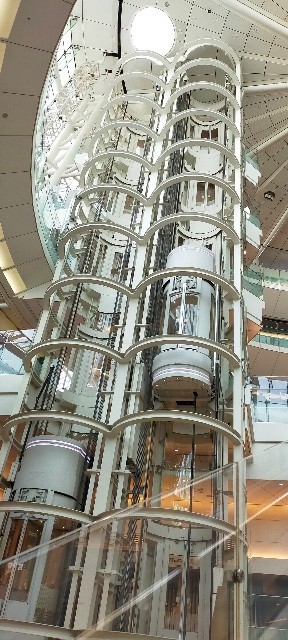 羽田空港 山口旅行記 １ 朝の羽田空港で自販機探索とビーガンカフェ Healthy Tokyo Cafe Shop で朝食 旅のresume