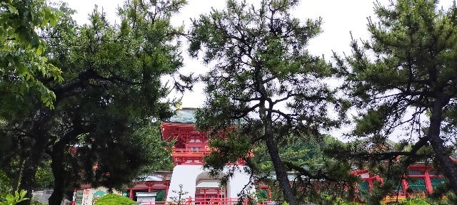 f:id:bluemoonbell:20210629112110j:image