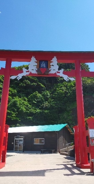 f:id:bluemoonbell:20210702123236j:image