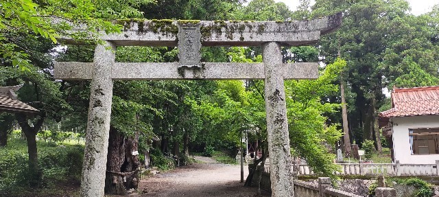 f:id:bluemoonbell:20210714115230j:image