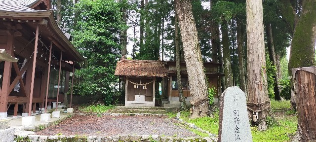 f:id:bluemoonbell:20210714115256j:image