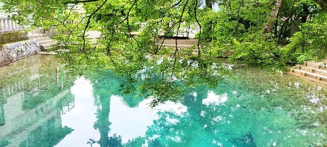 f:id:bluemoonbell:20210714115339j:image