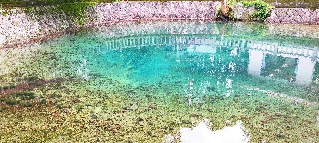 f:id:bluemoonbell:20210714115357j:image