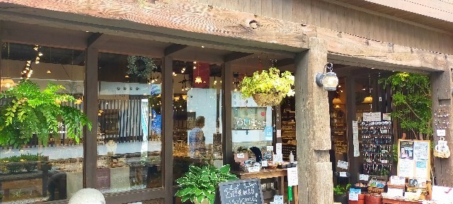 f:id:bluemoonbell:20210715144610j:image f:id:bluemoonbell:20210715144610j:image