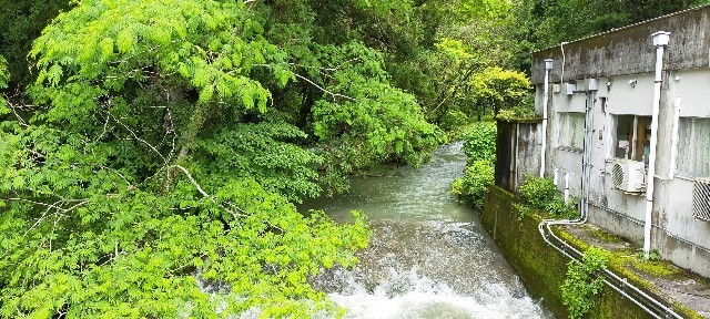 f:id:bluemoonbell:20210715144714j:image f:id:bluemoonbell:20210715144714j:image