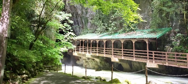 f:id:bluemoonbell:20210715144723j:image f:id:bluemoonbell:20210715144723j:image