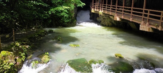 f:id:bluemoonbell:20210715144732j:image f:id:bluemoonbell:20210715144732j:image