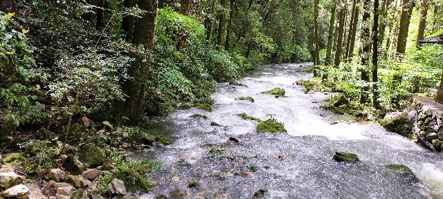 f:id:bluemoonbell:20210715144742j:image f:id:bluemoonbell:20210715144742j:image