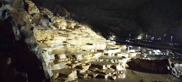 f:id:bluemoonbell:20210715144815j:image f:id:bluemoonbell:20210715144815j:image