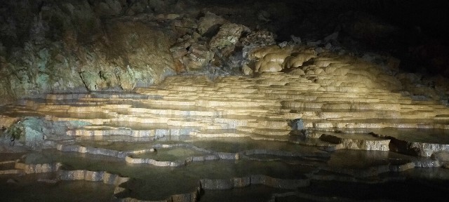 f:id:bluemoonbell:20210715144830j:image f:id:bluemoonbell:20210715144830j:image