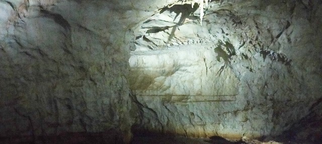 f:id:bluemoonbell:20210715144846j:image f:id:bluemoonbell:20210715144846j:image