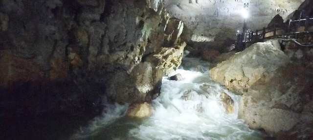 f:id:bluemoonbell:20210715144854j:image f:id:bluemoonbell:20210715144854j:image