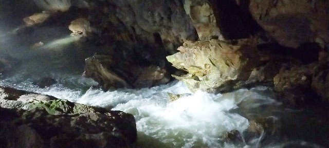 f:id:bluemoonbell:20210715144903j:image f:id:bluemoonbell:20210715144903j:image