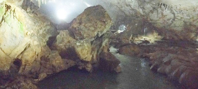 f:id:bluemoonbell:20210715145808j:image f:id:bluemoonbell:20210715145808j:image