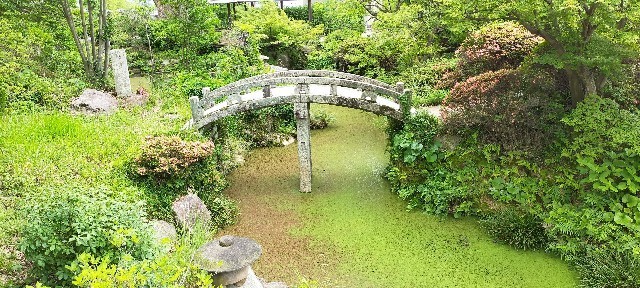 f:id:bluemoonbell:20210723164353j:image f:id:bluemoonbell:20210723164353j:image